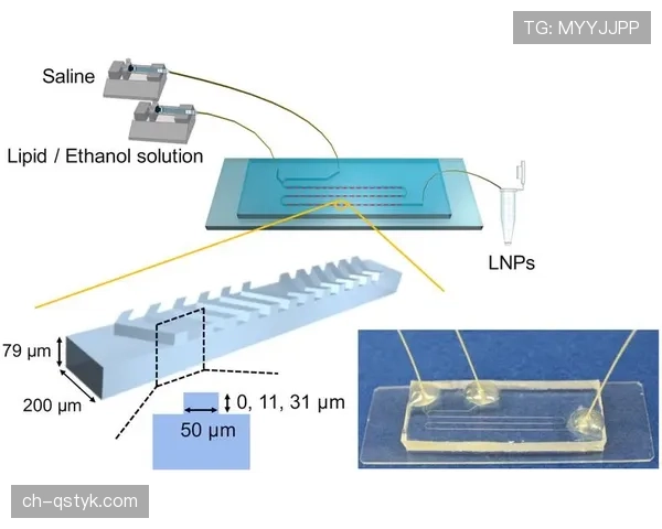 加维的高强度跑动如何重塑中场驱动机制
