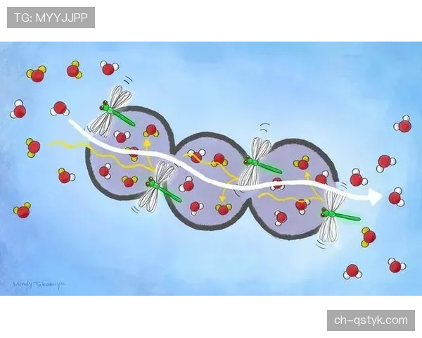 莱奥与马丁内利：突破效率与战术适配性的关键差异解析