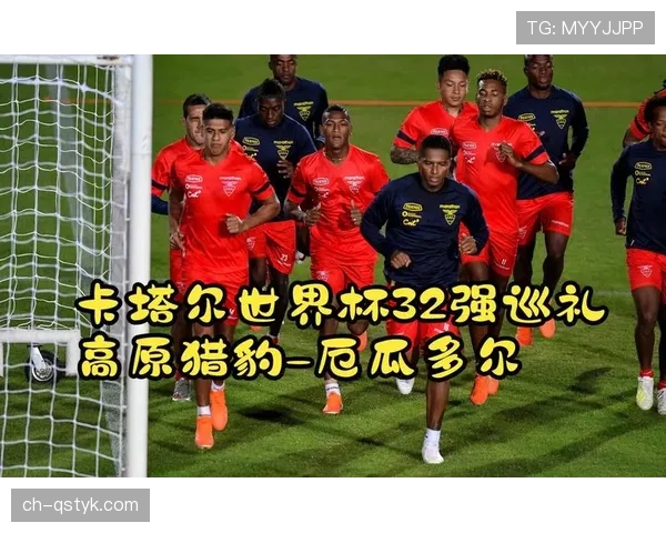 厄瓜多尔2026世界杯阵容预测：高原主场优势能否助力小组突围